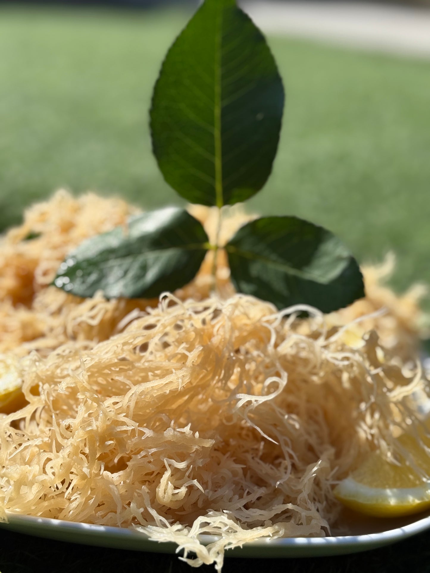 Sea Moss Gel Natural